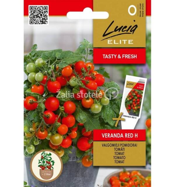 Valgomieji pomidoriai Verdana red H (Solanum lycopersicum L.)