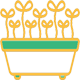 Mikrožalumynų sėklos