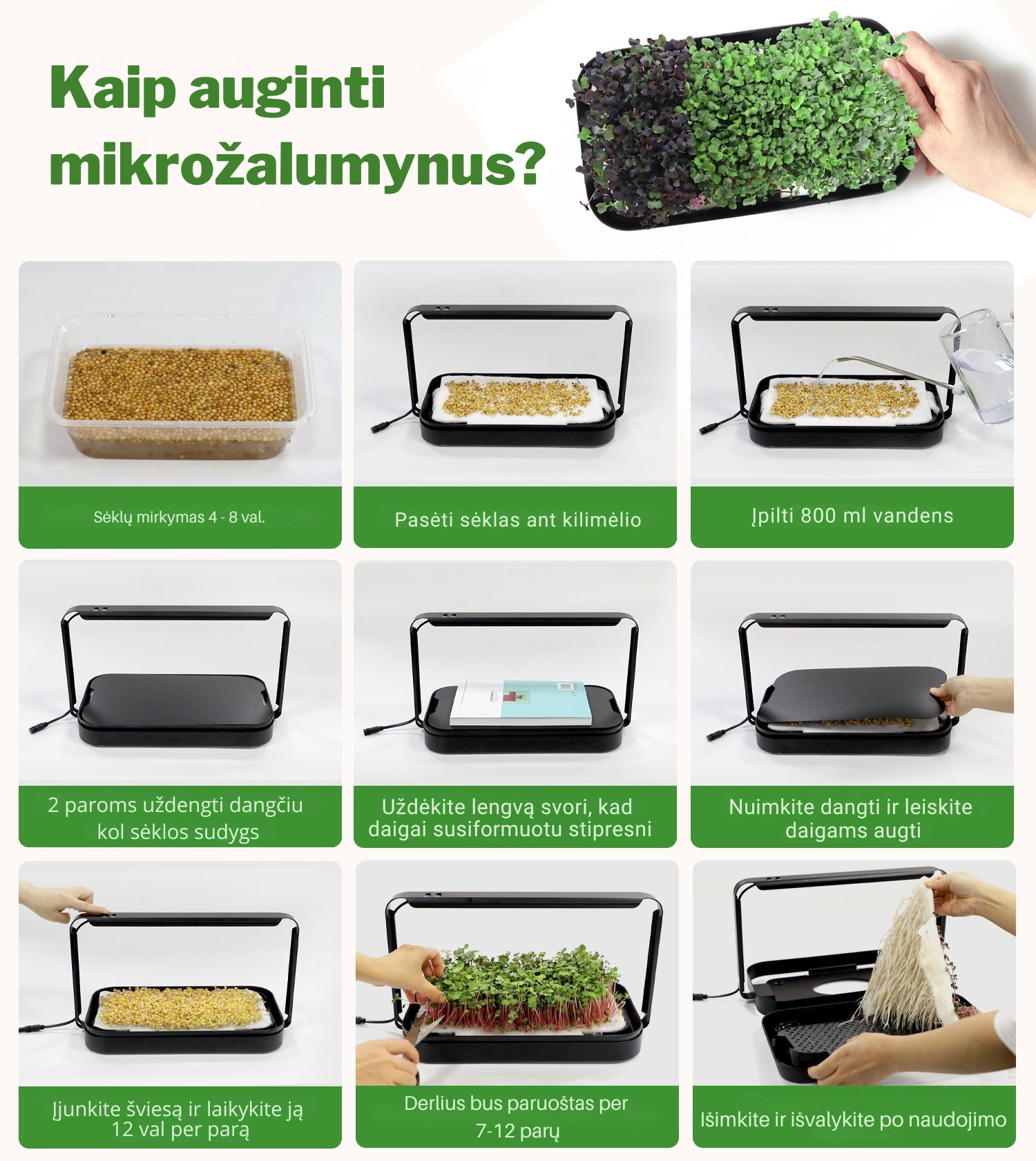 Kaip auginti mikrožalumynus